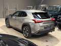 Lexus UX 250h UX Hybrid 4WD Luxury Grau - thumbnail 6