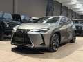 Lexus UX 250h UX Hybrid 4WD Luxury Grau - thumbnail 1
