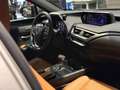 Lexus UX 250h UX Hybrid 4WD Luxury Grau - thumbnail 13