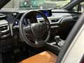 Lexus UX 250h UX Hybrid 4WD Luxury Grau - thumbnail 9