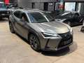 Lexus UX 250h UX Hybrid 4WD Luxury Grau - thumbnail 3