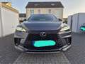 Lexus RX 500h F Sport+ Grau - thumbnail 1