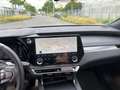 Lexus RX 500h F Sport+ Grau - thumbnail 13