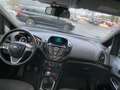 Ford B-Max Titanium mit Panoramadach Gris - thumbnail 10