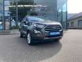 Ford EcoSport OCCASIE FESTIVAL BENZINE - thumbnail 3