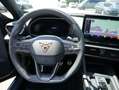 CUPRA Formentor VZ 2.0 TSI DSG LED*NAVI*ACC*DCC*RFK*LM - thumbnail 11