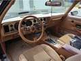 Pontiac Trans Am Trans Am 6.6 Schwarz - thumbnail 7