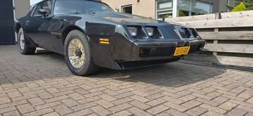 Trans Am 6.6