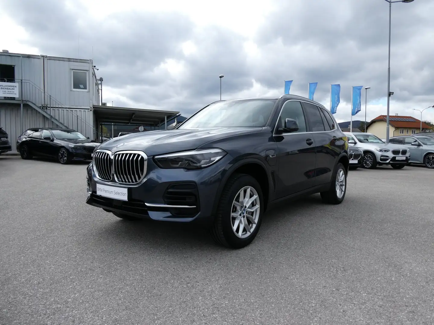 BMW X5 xDrive45e Grau - 1