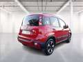 Fiat Panda 1.0 firefly hybrid Cross s&s 70cv 5p.ti Rouge - thumbnail 7