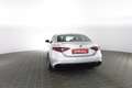 Alfa Romeo Giulia 2.2 Turbodiesel 210 CV AT8 AWD Q4 Veloce Grau - thumbnail 5