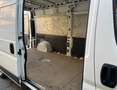 Peugeot Boxer Boxer L3H2 - passo lungo tetto alto Bianco - thumbnail 6