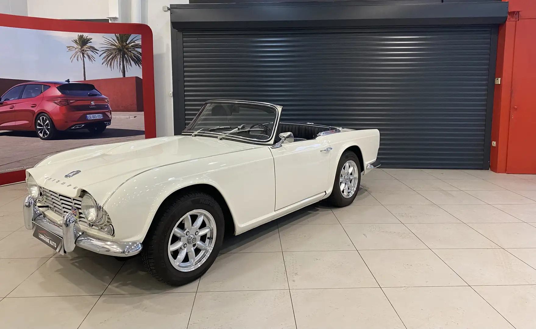 Triumph TR4 - 1