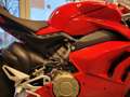 Ducati Panigale V4 S FA Rouge - thumbnail 5