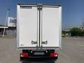 Volkswagen Crafter ISOTERMICO CON FRIGO - 20 ° Wit - thumbnail 5