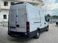 Iveco Daily tetto alto passo medio con ADR coibendato - thumbnail 3