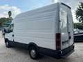Iveco Daily tetto alto passo medio con ADR coibendato - thumbnail 2