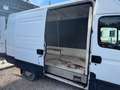 Iveco Daily tetto alto passo medio con ADR coibendato - thumbnail 4