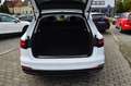 Audi A4 40 2.0 TDI Avant S line LED Navi über App Connect Weiß - thumbnail 20