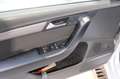 Volkswagen Passat 1.6 TDI Comfortline Executive Edition Bluemotion - Grigio - thumbnail 12