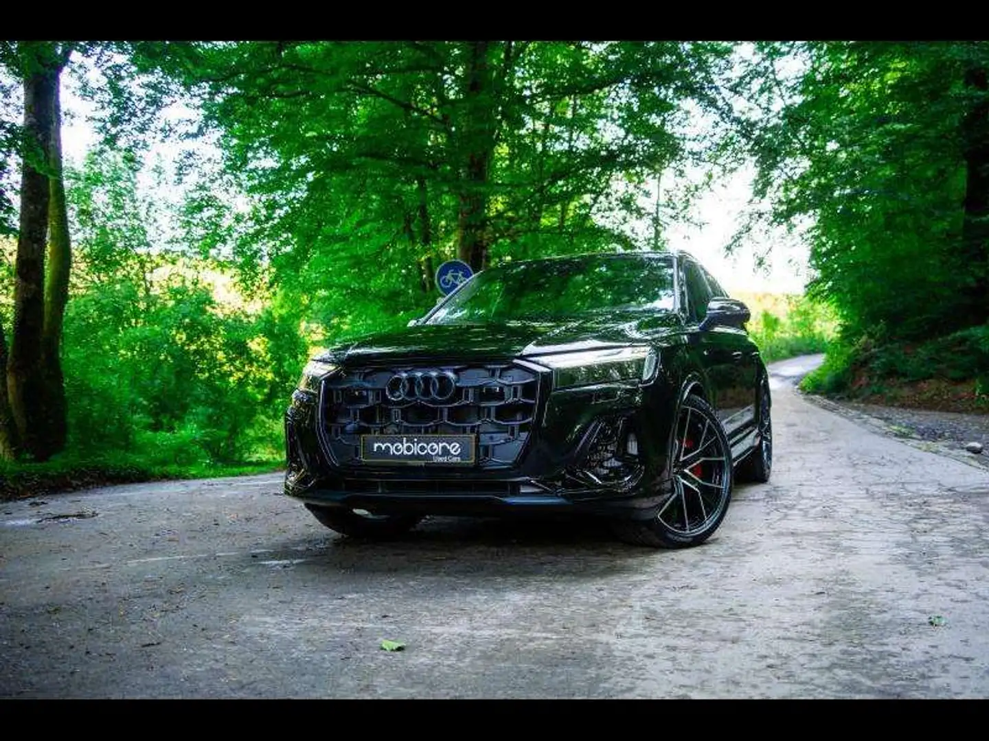 Audi Q7 S LINE Facelift / PHEV Noir - 1