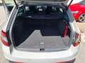 Skoda Octavia RS 245 Combi 2.0TSI DSG LED+NAVI+ACC Grau - thumbnail 17