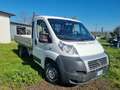Fiat Ducato Bianco - thumbnail 1