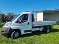 Fiat Ducato Bianco - thumbnail 5