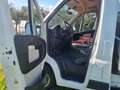 Fiat Ducato Bianco - thumbnail 9