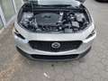 Mazda CX-30 HOMURA HUD Navi LED Dyn. Kurvenlicht ACC El. Heckk Beige - thumbnail 14