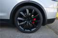 Tesla Model X 100D Performance Enhanced AutoPilot2.5, MARGE rijk Gris - thumbnail 34