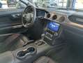 Ford Mustang Convertible 5.0 Ti-VCT V8 Aut., Deutsches Modell Grau - thumbnail 11