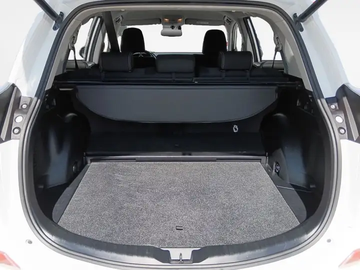 Toyota RAV4 2.5 hybrid 2WD Advance 2016, foto 14