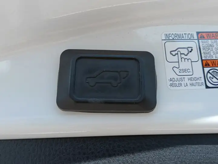 Toyota RAV4 2.5 hybrid 2WD Advance 2016, foto 15