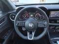 Alfa Romeo Stelvio Stelvio 2.2 Turbodiesel 160 CV AT8 RWD Business Gris - thumbnail 10