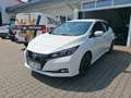 Nissan Leaf N-Connecta 40 kWh -360 - Tempom. ACC,Lenkradheizun Weiß - thumbnail 3