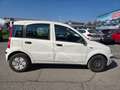 Fiat Panda Panda 1.1 Active eco (active) c/abs Bianco - thumbnail 4