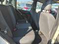 Fiat Panda Panda 1.1 Active eco (active) c/abs Bianco - thumbnail 11
