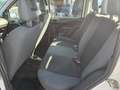 Fiat Panda Panda 1.1 Active eco (active) c/abs Bianco - thumbnail 9