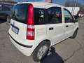 Fiat Panda Panda 1.1 Active eco (active) c/abs Bianco - thumbnail 5