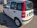 Fiat Panda Panda 1.1 Active eco (active) c/abs Bianco - thumbnail 7