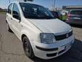 Fiat Panda Panda 1.1 Active eco (active) c/abs Bianco - thumbnail 3