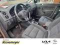 Volkswagen Golf Plus VI 2.0 TDI DPF DSG Style 103 KW (140 PS) AHK-abneh Braun - thumbnail 10