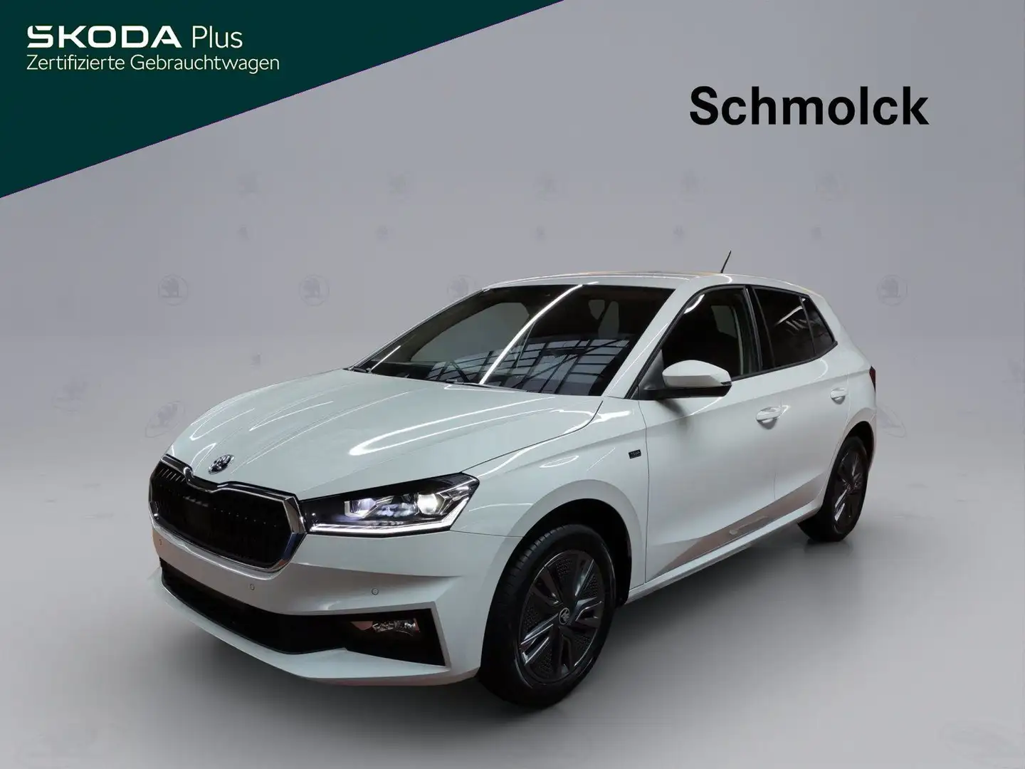 Skoda Fabia Tour 1.0 MPI 80 PS CLIMATRONIC LED PDC Weiß - 1
