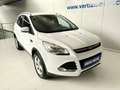 Ford Kuga 1.5 EcoBoost 120 A-S-S 4x2 Trend Blanco - thumbnail 7