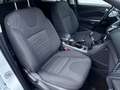 Ford Kuga 1.5 EcoBoost 120 A-S-S 4x2 Trend Blanco - thumbnail 10