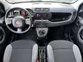 Fiat Panda 1.0 Hybrid 70 Cv Grau - thumbnail 7