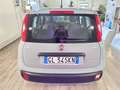 Fiat Panda 1.0 Hybrid 70 Cv Grau - thumbnail 5