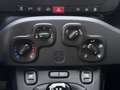 Fiat Panda 1.0 Hybrid 70 Cv Grau - thumbnail 14