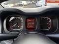Fiat Panda 1.0 Hybrid 70 Cv Grau - thumbnail 12